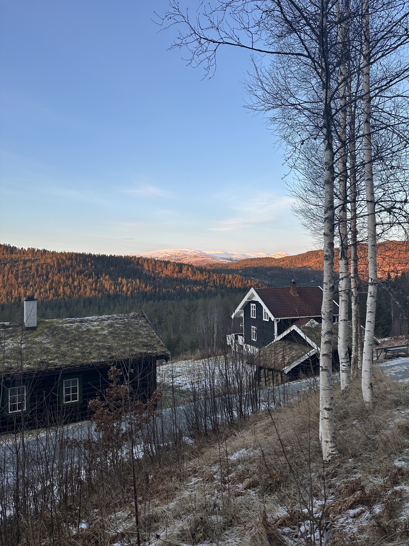 Utsikt mot fjellene i høstlys