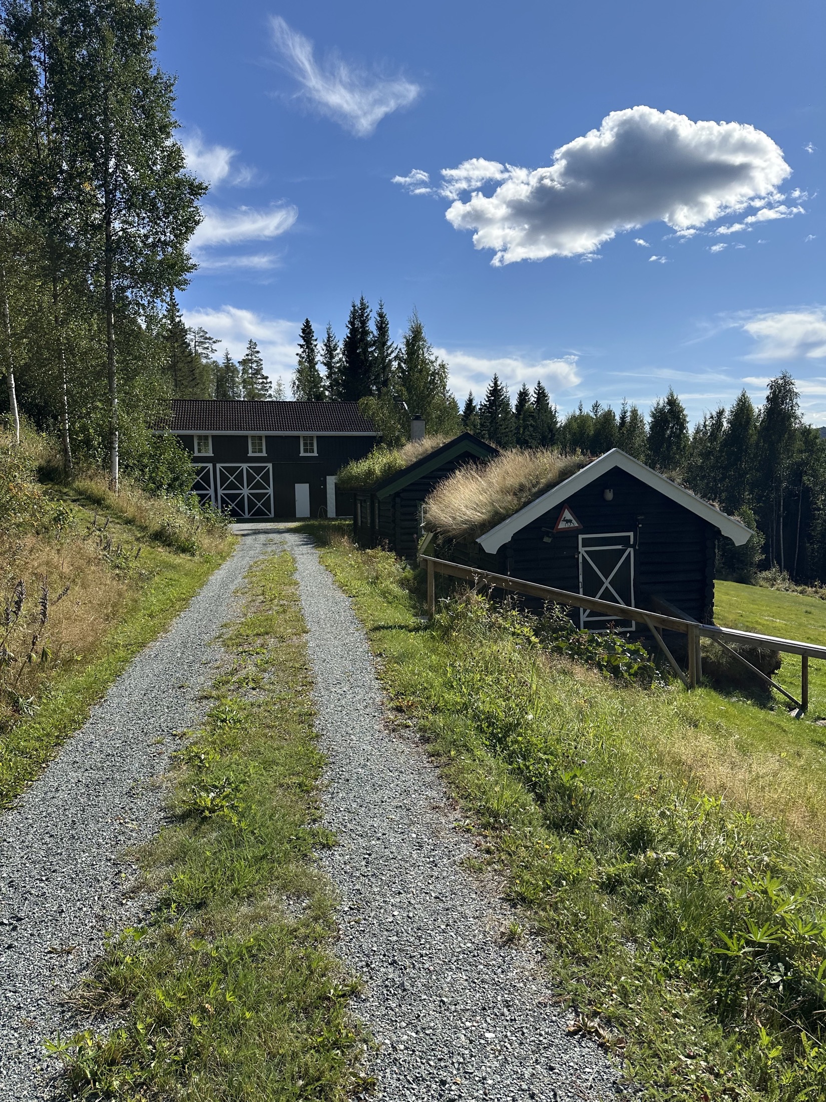Mjelhovd og landskapet rundt i sommerlys