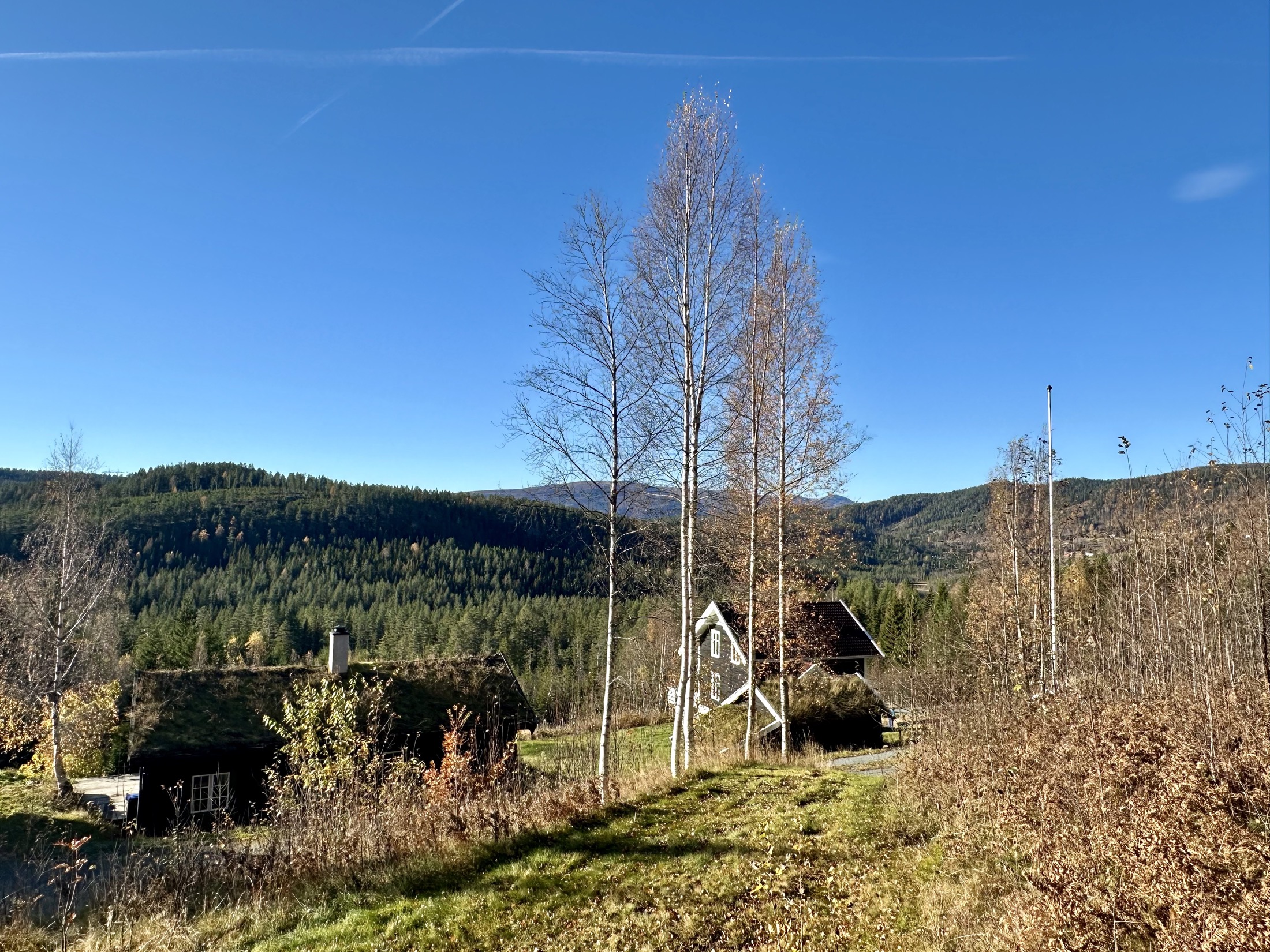 Tunet på Redalen i høstfarger