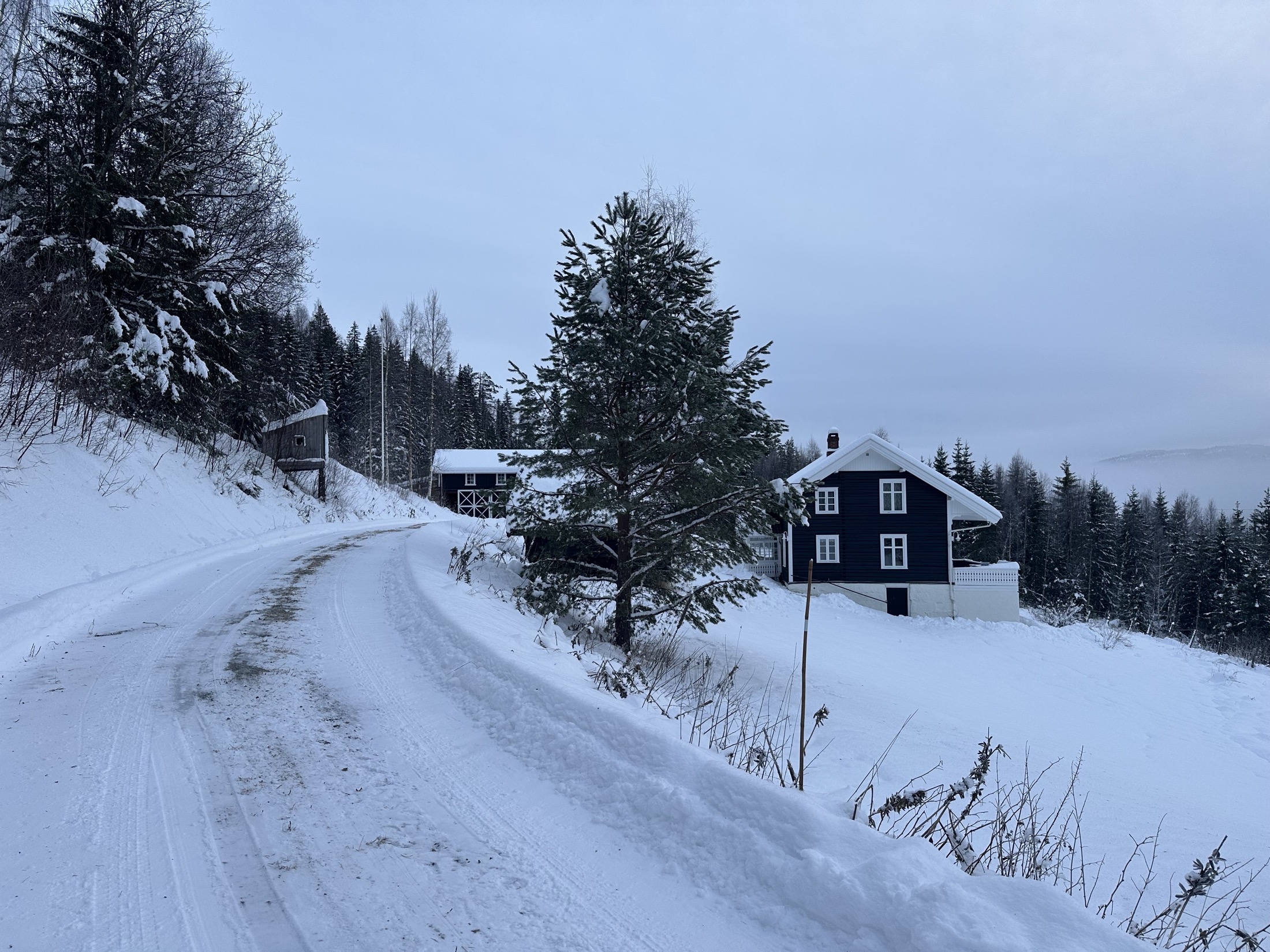 Brøytet vintervei opp mot Redalen